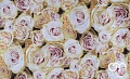 Велюр - Fresh Rose 02