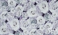Велюр - Fresh Rose 03