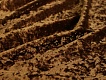 Велюр - Астра-29
