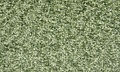 Велюр - Джинара 619