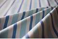 Велюр - Classic-stripe-6